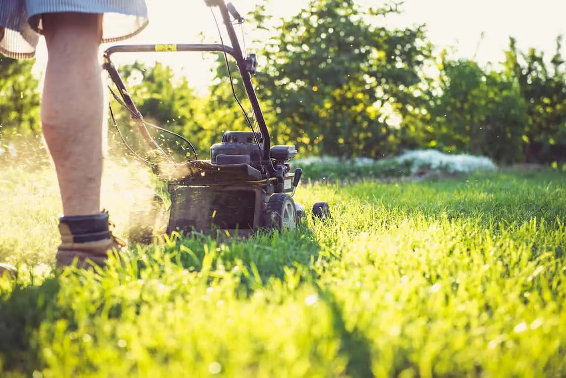 why-does-the-mower-keep-tripping-the-circuits