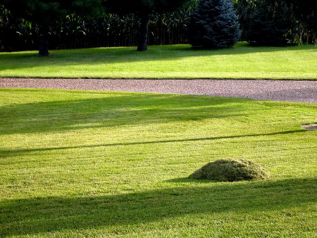 Solutions to leftover lawn clippings