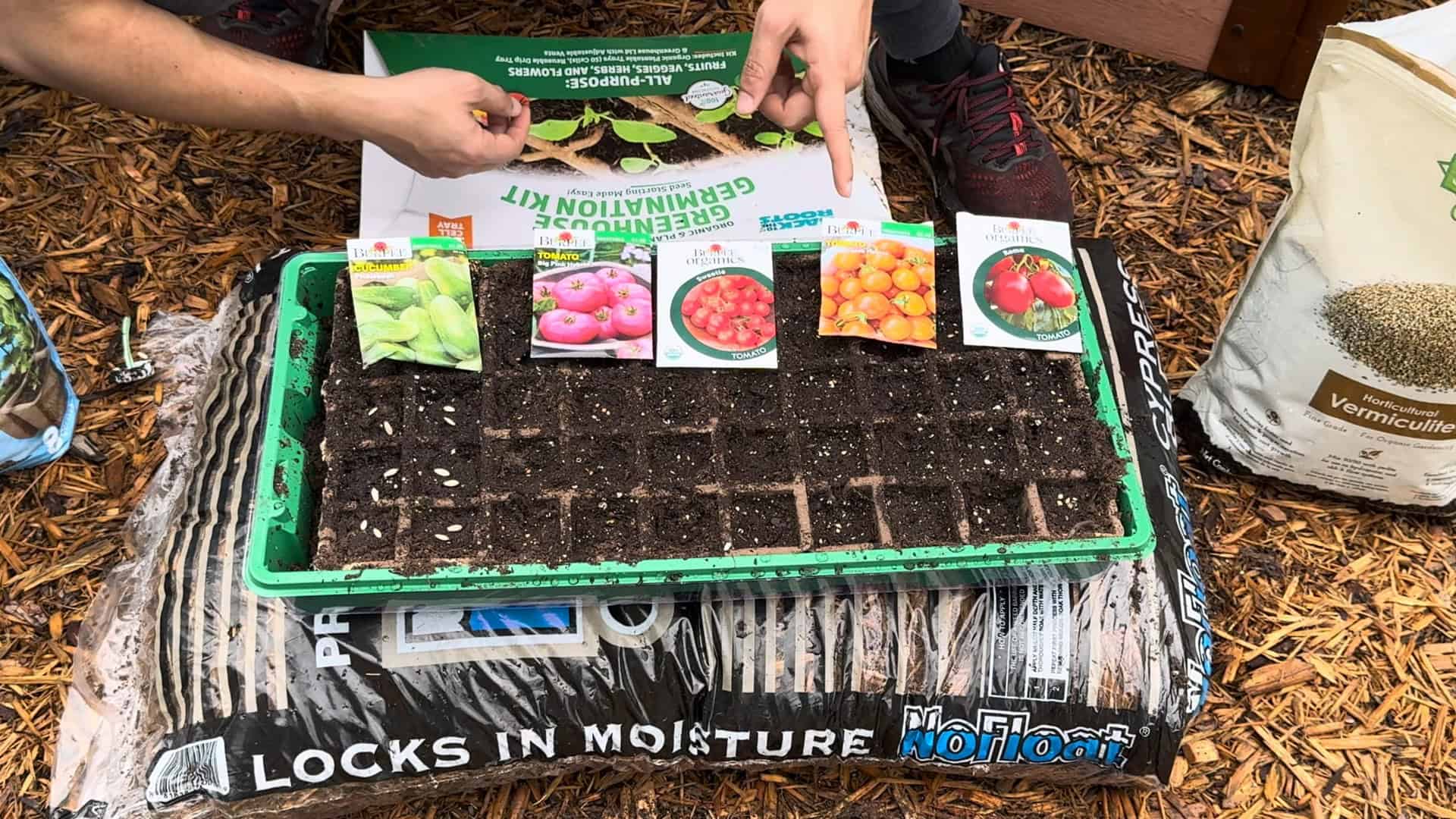 Easy Indoor Seed Starting Steps Every Gardener Should Know