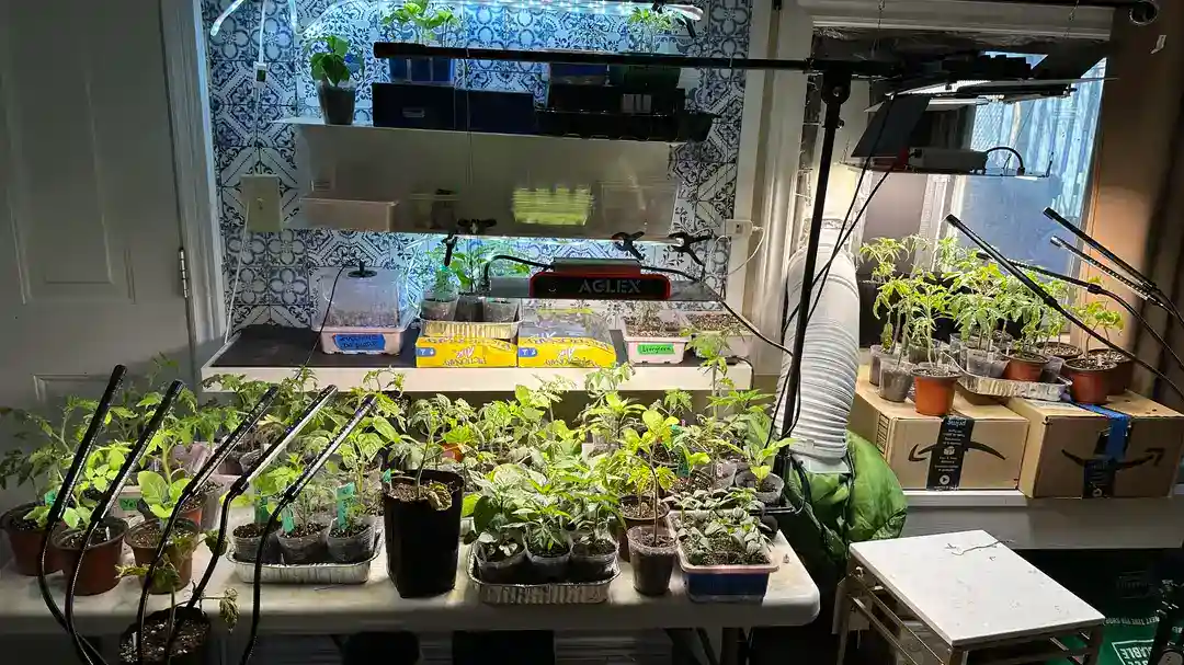 Gardening with ADHD