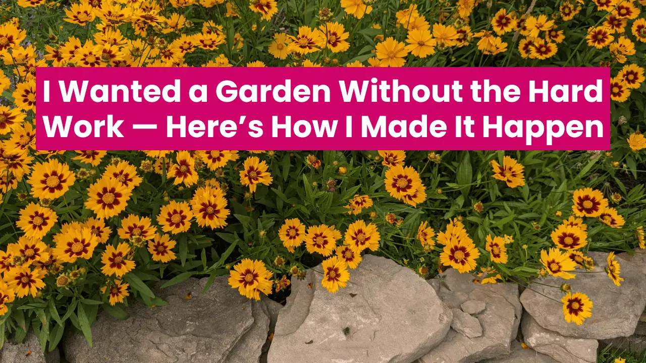 My Easy Method for Lazy Gardeners Who Want Flowers That Bloom All Season