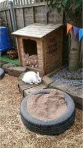 23 Garden Rabbit Playground Ideas for Happy and Active Bunnies