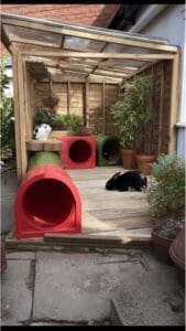 23 Garden Rabbit Playground Ideas for Happy and Active Bunnies