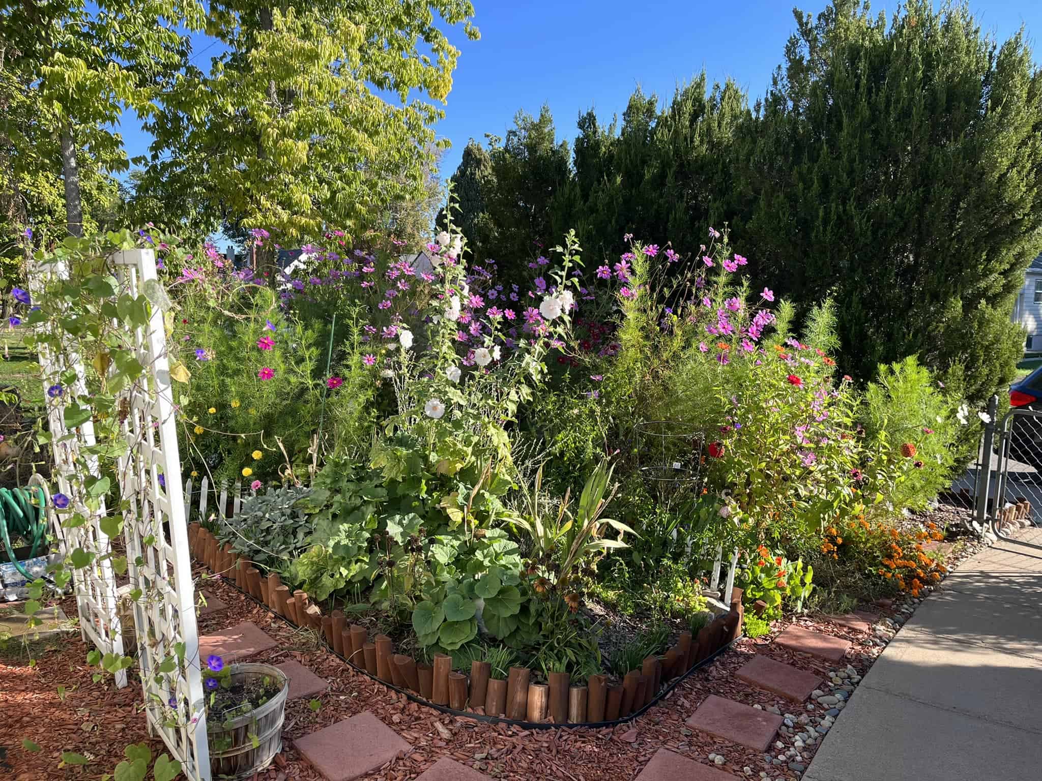 10+ Things I Quit To Make Gardening Easier