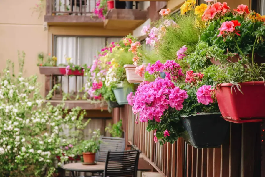 23 Balcony Garden Ideas to Transform Small Spaces into Green Havens