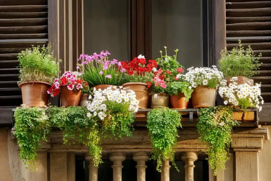 25 Wildflower Garden Ideas That Bring Beauty and Biodiversity Home