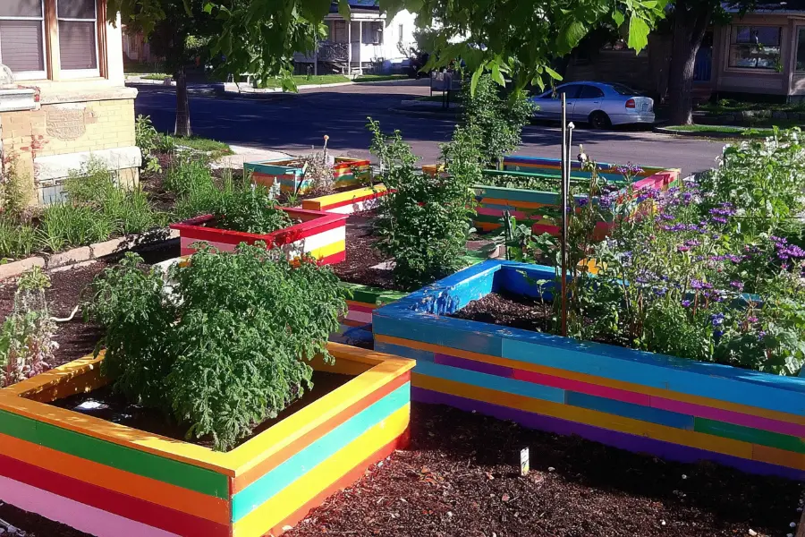32 Raised Garden Bed Ideas for Every Backyard Size and Style