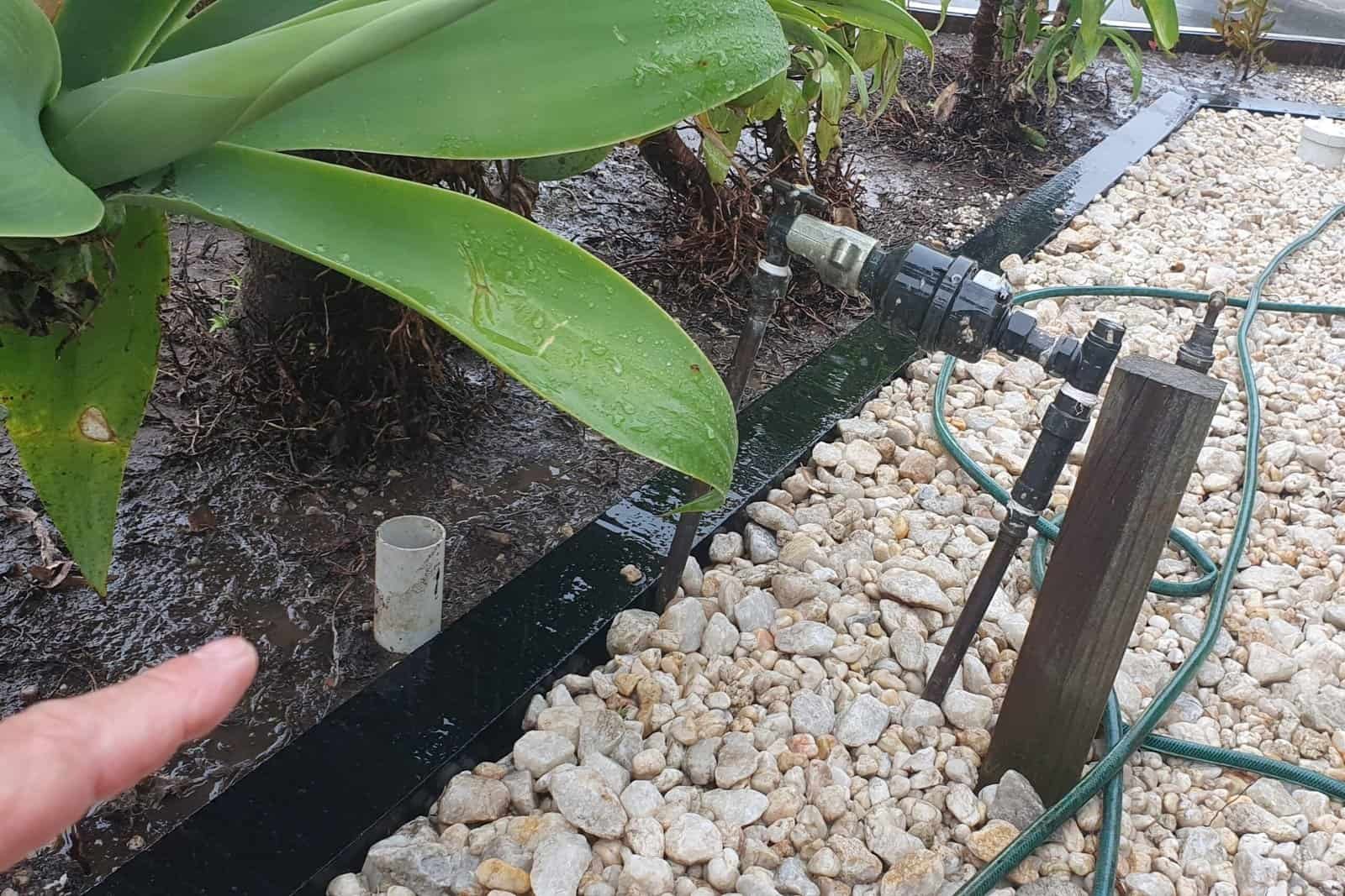 5 Watering Mistakes That Could Be Ruining Your Garden—and How to Fix Them