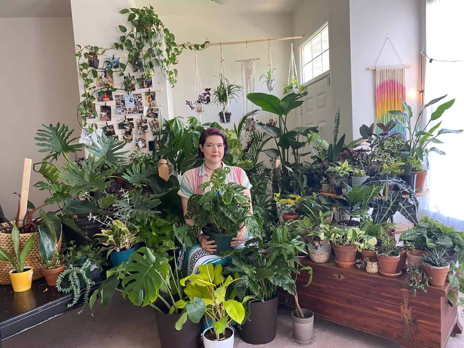 10 Indoor Plants That Boost Your Health, Mood & Energy